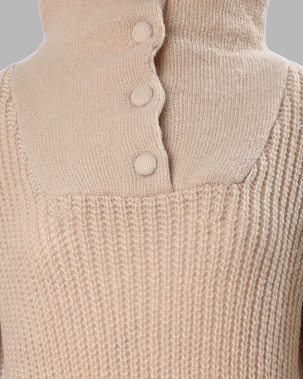 Button Front Lantern Sleeve Sweater Dress