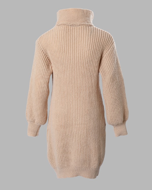 Button Front Lantern Sleeve Sweater Dress